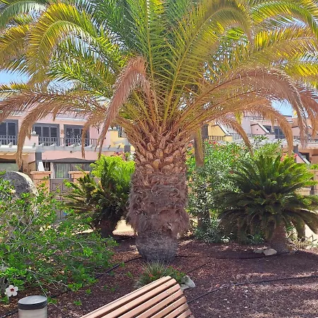 Modern Townhouse Ocean Front Holiday home Costa Adeje (Tenerife)